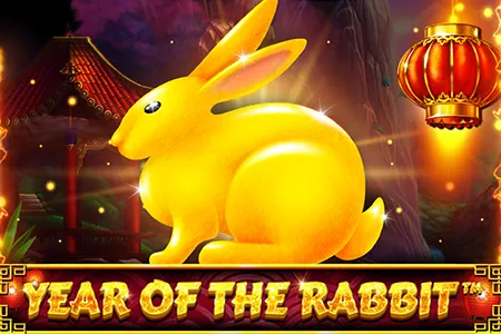 Year Of The Rabbit